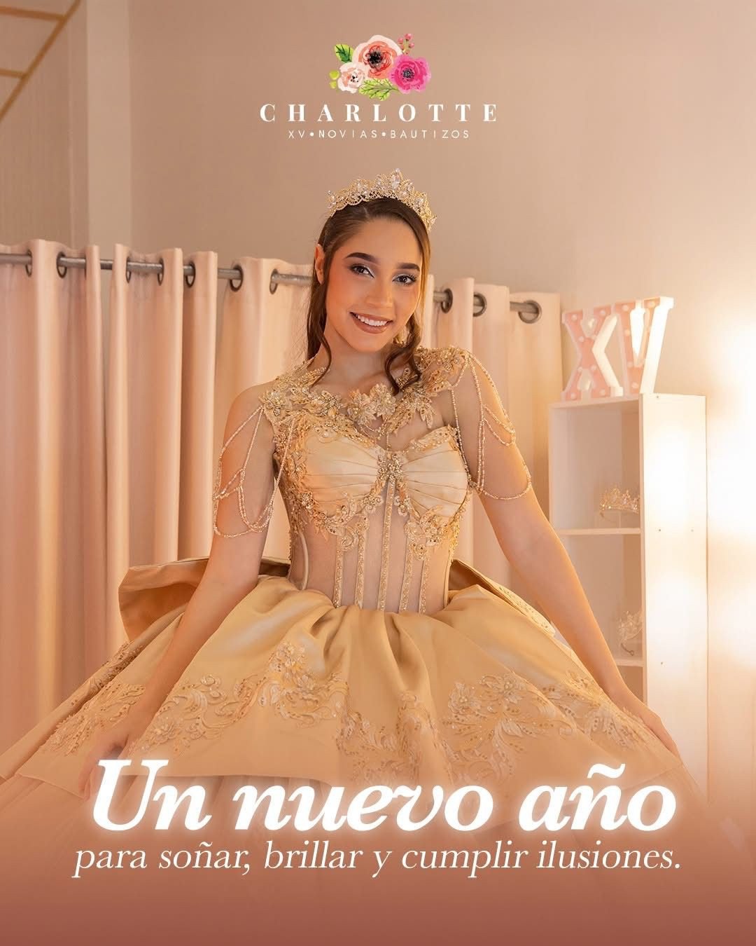Charlotte Vestidos